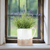 Luna Cream Jug - Distinctly Living
