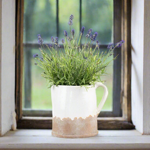 Luna Cream Jug - Distinctly Living