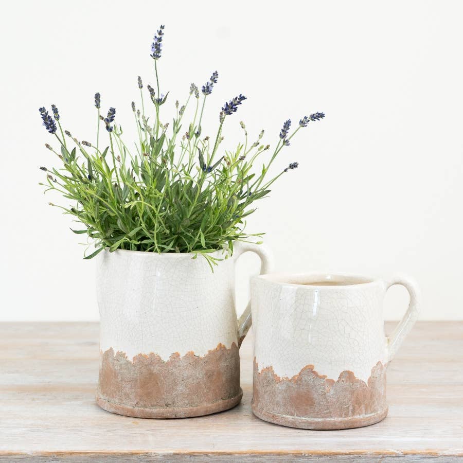 Luna Cream Jug - Distinctly Living