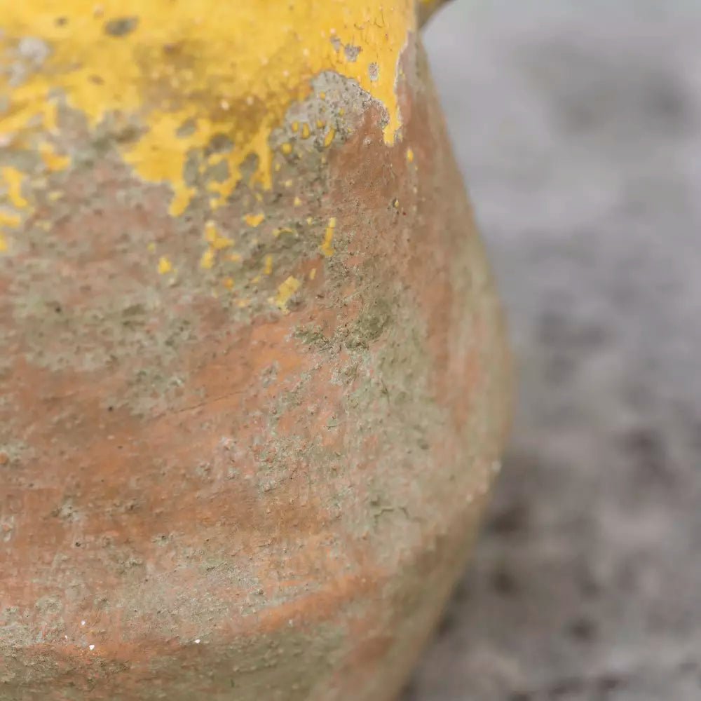Ochre Vase - Distinctly Living