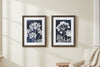 Pair of Seed Head Prints - Distinctly Living