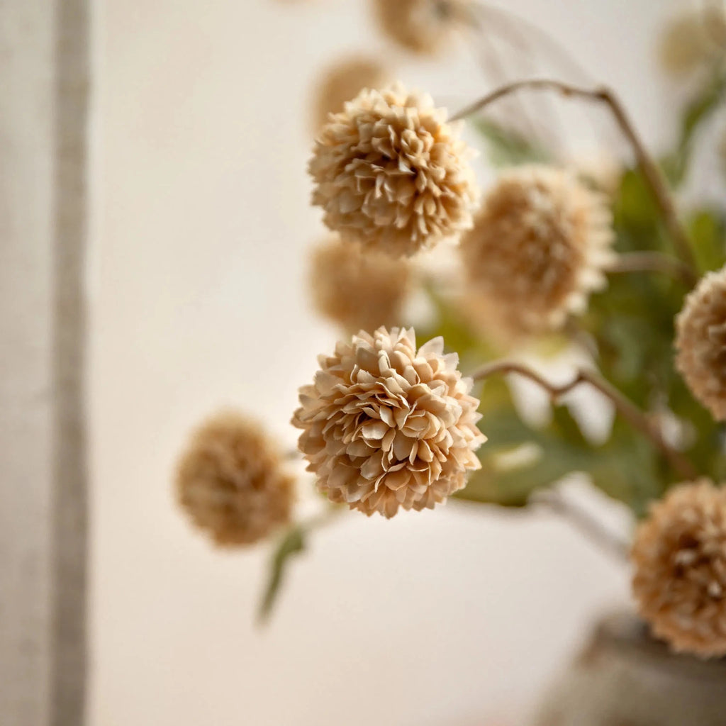 Potted Pom Pom Display - Distinctly Living