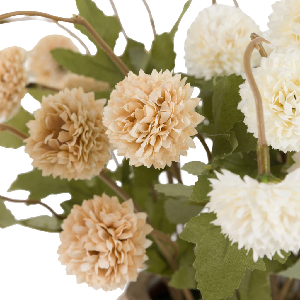 Potted Pom Pom Display - Distinctly Living