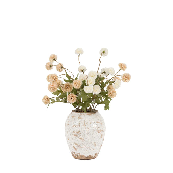 Potted Pom Pom Display - Distinctly Living