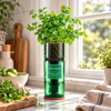 Recycled Glass Hydroponic Herb Growing Kit - Distinctly Living