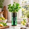 Recycled Glass Hydroponic Herb Growing Kit - Distinctly Living