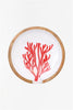 Red Coral Spoon Rest - Distinctly Living