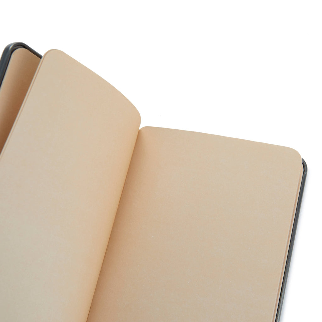 Salmon - Metallic Fishy Notebooks - Distinctly Living