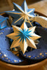 Screen Printed Small Star Decoration - Distinctly Living