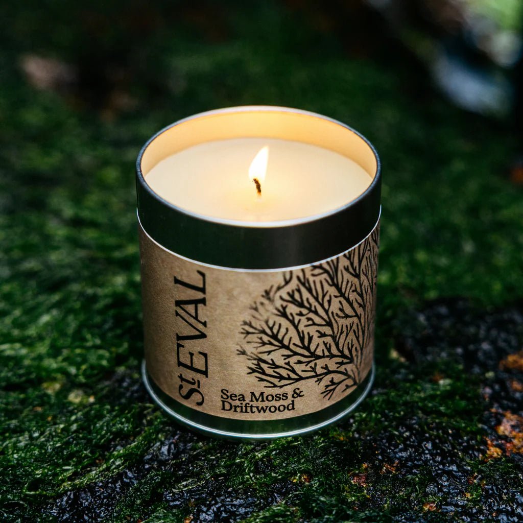 Sea Moss and Driftwood Candle Tin - Distinctly Living