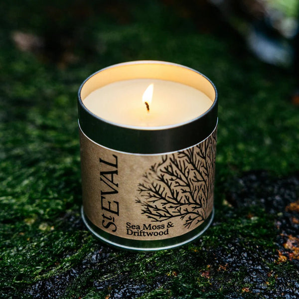Sea Moss and Driftwood Candle Tin - Distinctly Living