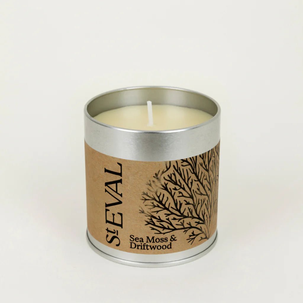 Sea Moss and Driftwood Candle Tin - Distinctly Living