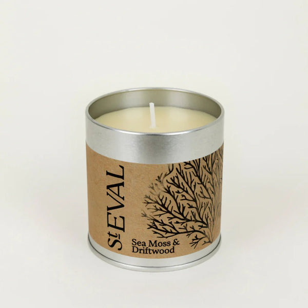 Sea Moss and Driftwood Candle Tin - Distinctly Living