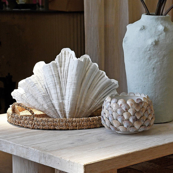 Sea Shell Decorative Planter or Pot - Distinctly Living