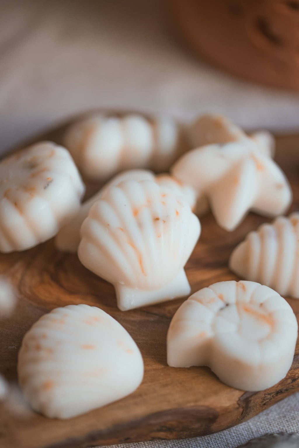 Seashell Shaped Soy Wax Melts / Coastal, Beach, Summer - Distinctly Living