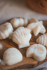 Seashell Shaped Soy Wax Melts / Coastal, Beach, Summer - Distinctly Living