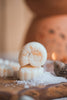Seashell Shaped Soy Wax Melts / Coastal, Beach, Summer - Distinctly Living