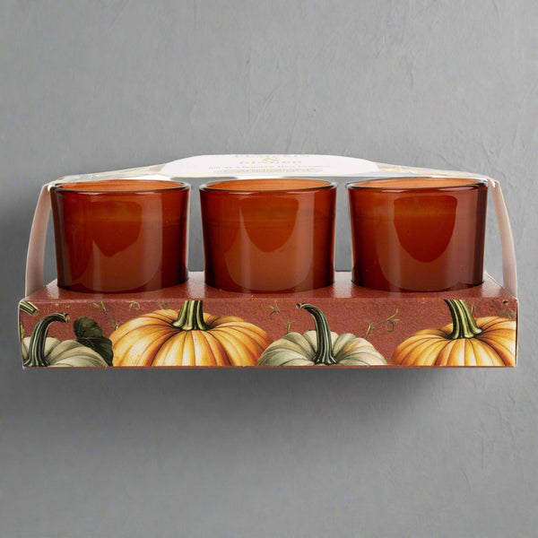 Set of 3 Votive Candles - Pumpkin & Ginger - Distinctly Living