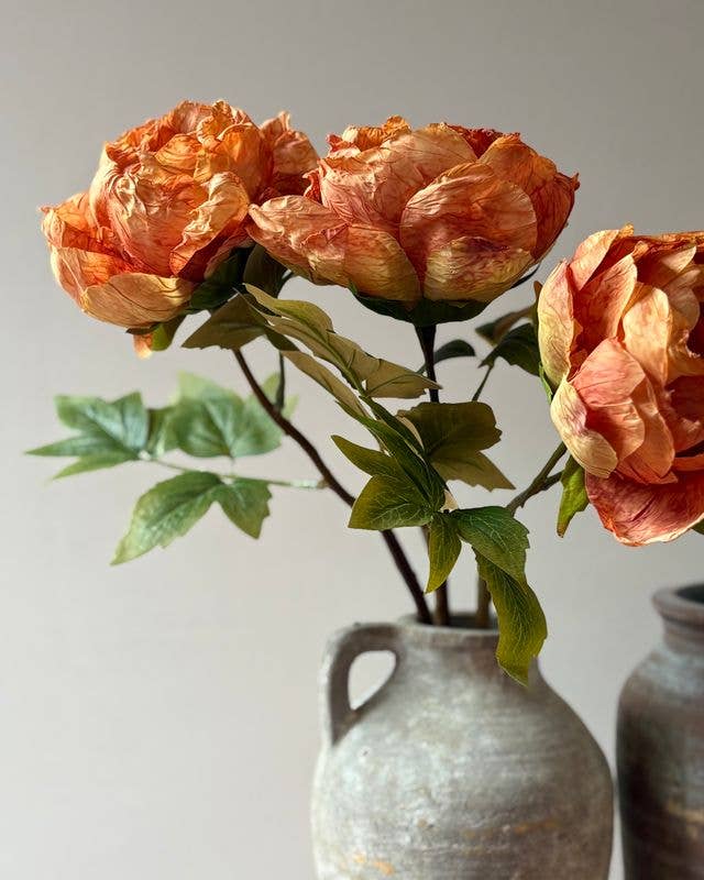 Single Closed Cup Peony - Distinctly Living