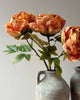 Single Closed Cup Peony - Distinctly Living