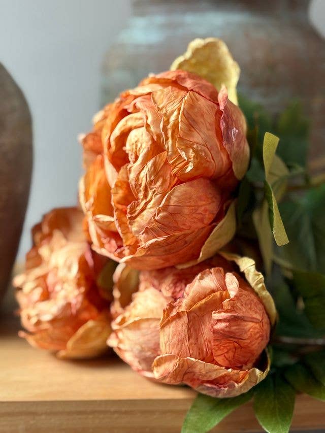 Single Closed Cup Peony - Distinctly Living