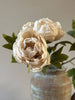Single Closed Cup Peony - Distinctly Living