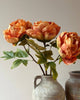 Single Closed Cup Peony - Distinctly Living