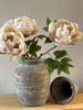 Single Closed Cup Peony - Distinctly Living