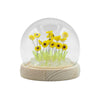 Small Round LED Meadow Dome - Danelion or Sun Flower - Distinctly Living