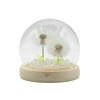 Small Round LED Meadow Dome - Danelion or Sun Flower - Distinctly Living