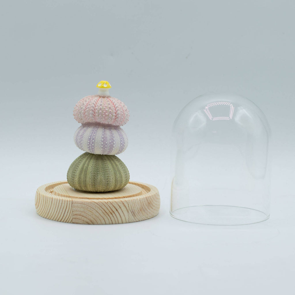 Small Round LED Sea Urchins Dome - Distinctly Living