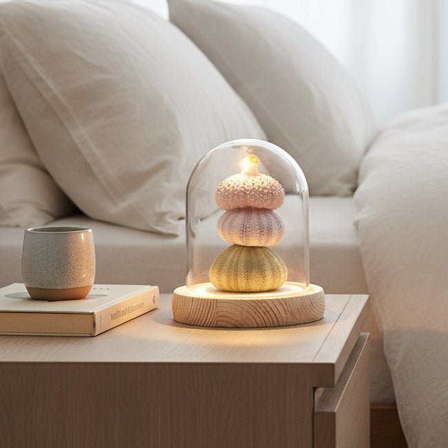 Small Round LED Sea Urchins Dome - Distinctly Living
