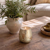 Solenne gingerbread candle in a mottled gold toned vessel on a wooden table