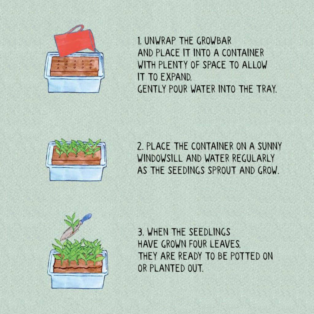 The Brontë Flowers Growbar - Distinctly Living