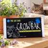 Cat Growbar beside potted catmint and a resting tabby cat