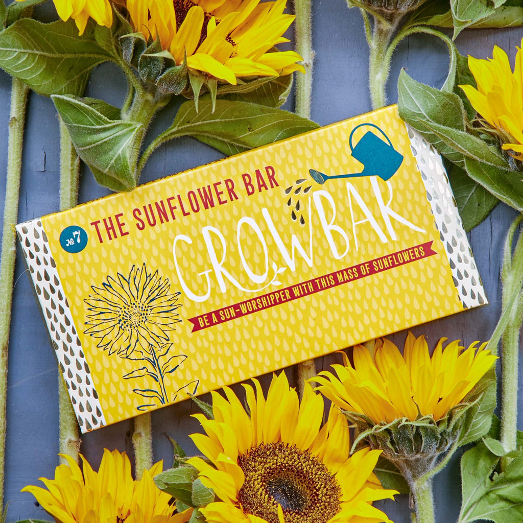 The Sunflower Growbar - Distinctly Living