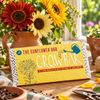 Sunflower Growbar beside red, cream and golden sunflowers