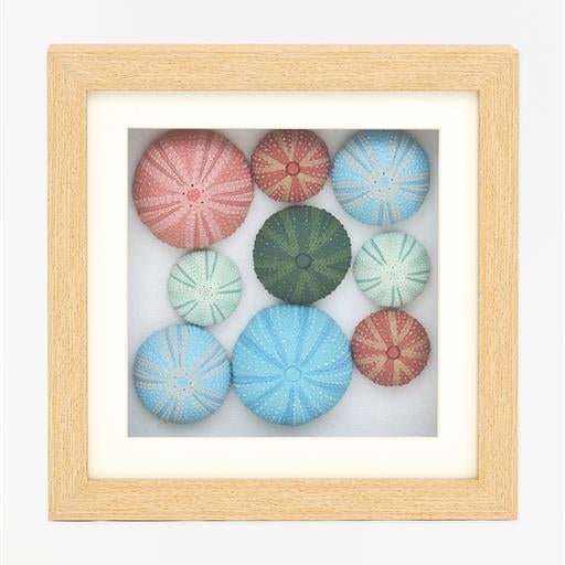 Urchin Multi - Wall Art - Distinctly Living