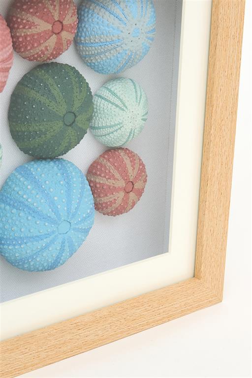 Urchin Multi - Wall Art - Distinctly Living