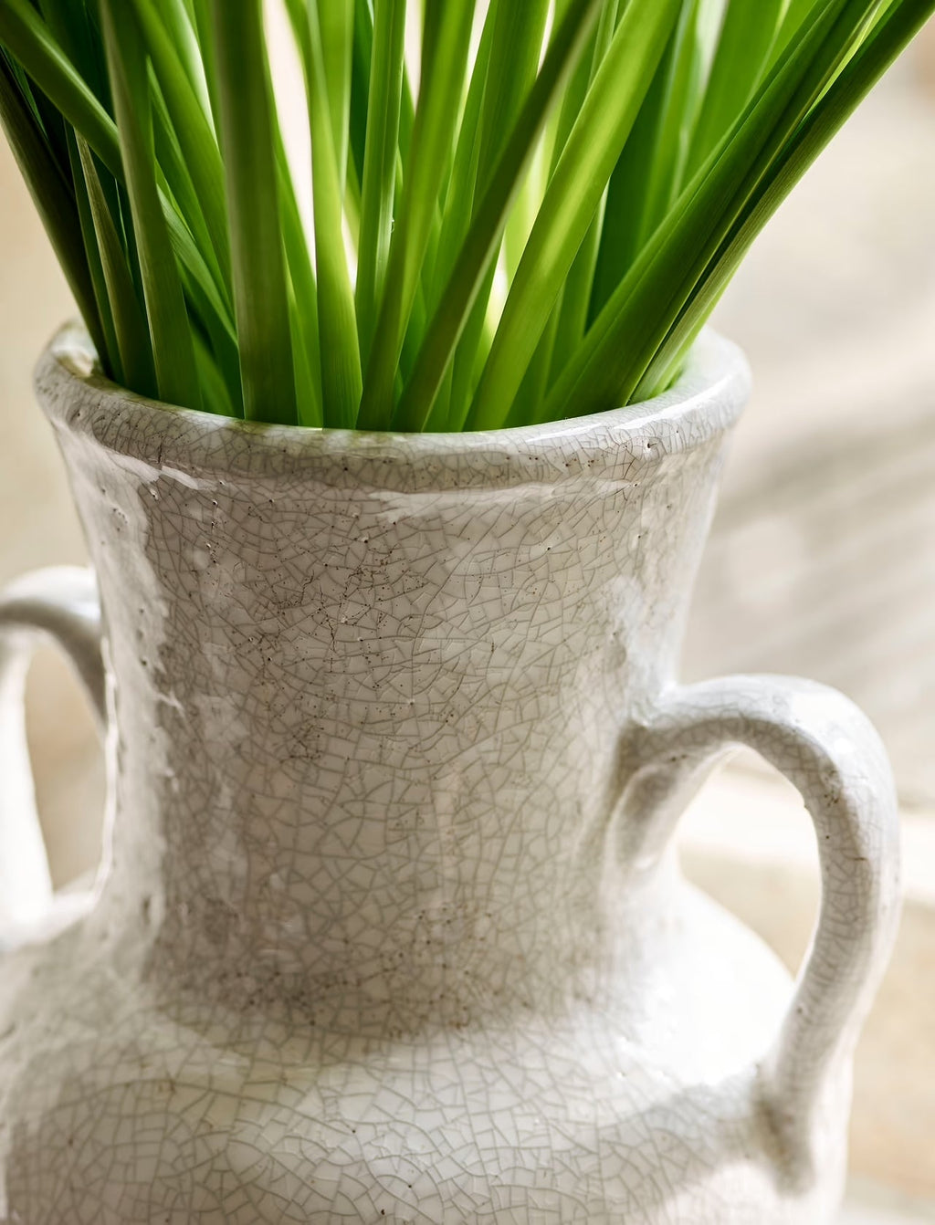 Vello Vase With Handles - Distinctly Living