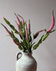 Veronica Stem - Pink - Distinctly Living