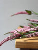 Veronica Stem - Pink - Distinctly Living