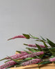 Veronica Stem - Pink - Distinctly Living