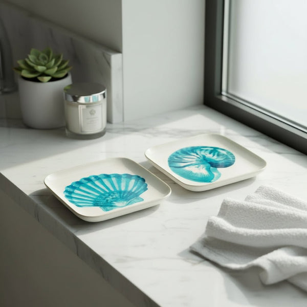 Vide Poche Trays - Conch or Clam Shell - Distinctly Living
