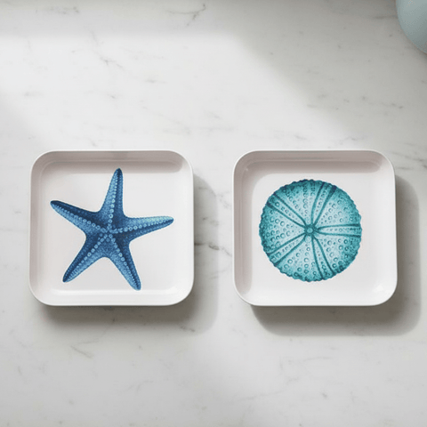 Vide Poche Trays - Starfish or Urchin - Distinctly Living