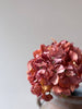 Vintage Hydrangea - Rust Orange - Distinctly Living