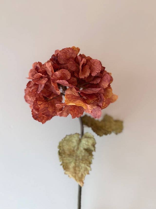 Vintage Hydrangea - Rust Orange - Distinctly Living