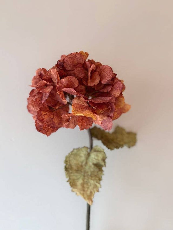 Vintage Hydrangea - Rust Orange - Distinctly Living