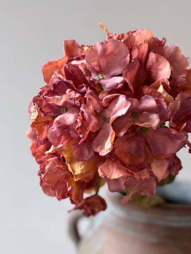 Vintage Hydrangea - Rust Orange - Distinctly Living