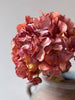 Vintage Hydrangea - Rust Orange - Distinctly Living